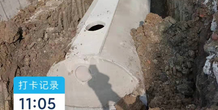 1645967061195677.jpg 1.jpg